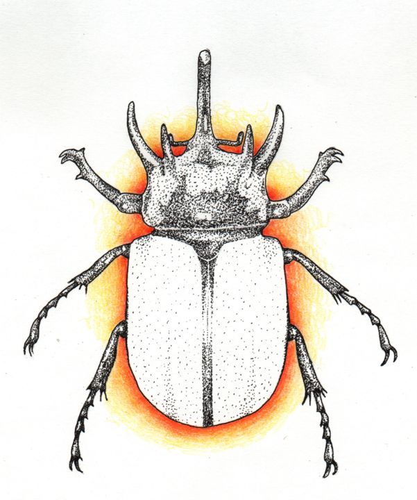 Disegno intitolato "Sunrise Beetle" da Kiki Van Marrewijk, Opera d'arte originale, Altro