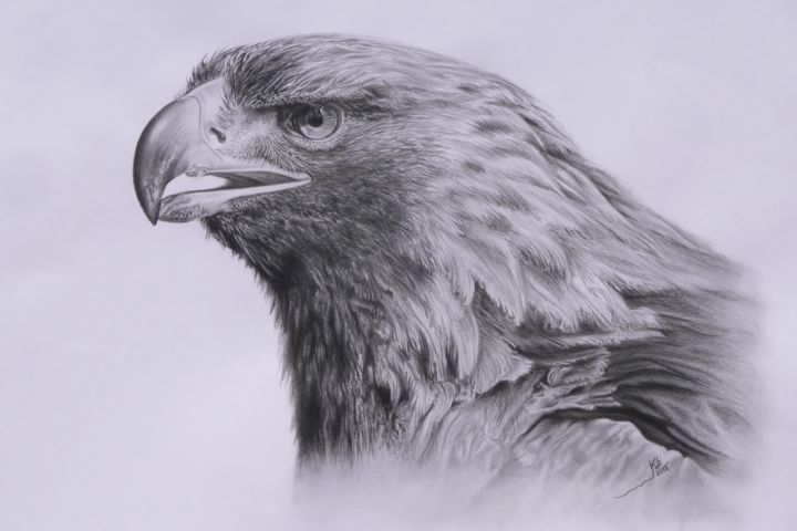 Dessin intitulée "ÁGUILA" par Kile Zabala, Œuvre d'art originale, Crayon