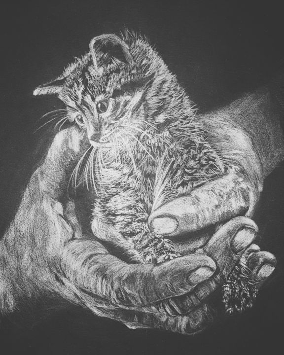 Drawing titled ""C'est le chat..."" by Hadhami Petitfils, Original Artwork, Pencil