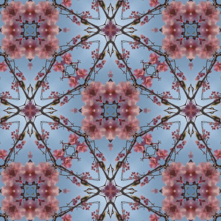 Photography titled "Flowering Tree" by Kimi Nishikawa, Original Art, Manipulated Photography