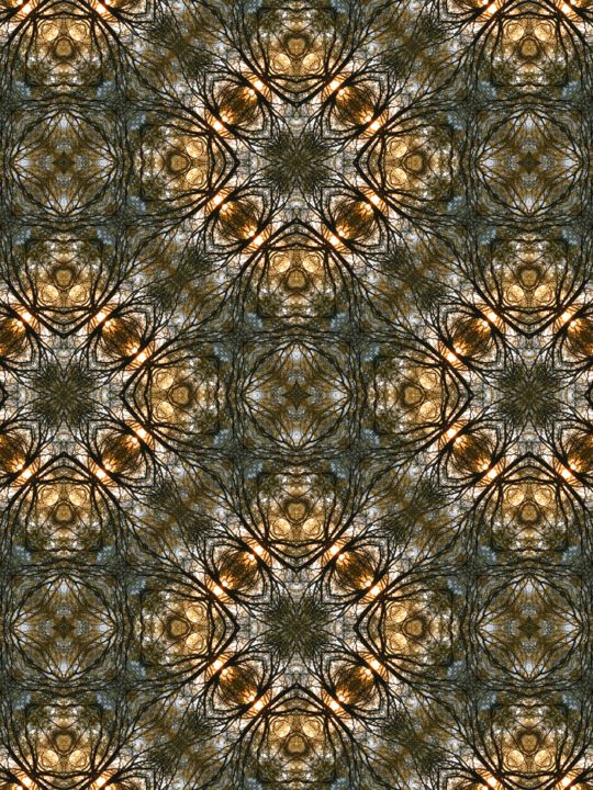 Photography titled "Sunrise Leaves" by Kimi Nishikawa, Original Art, Manipulated Photography