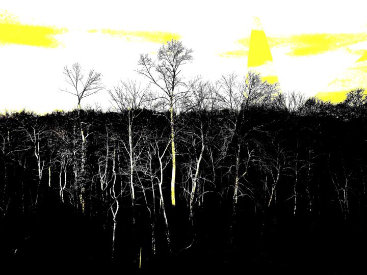 Fotografia intitolato "Yellow Sky Forest" da Llewellyn Berry, Opera d'arte originale, Fotografia digitale