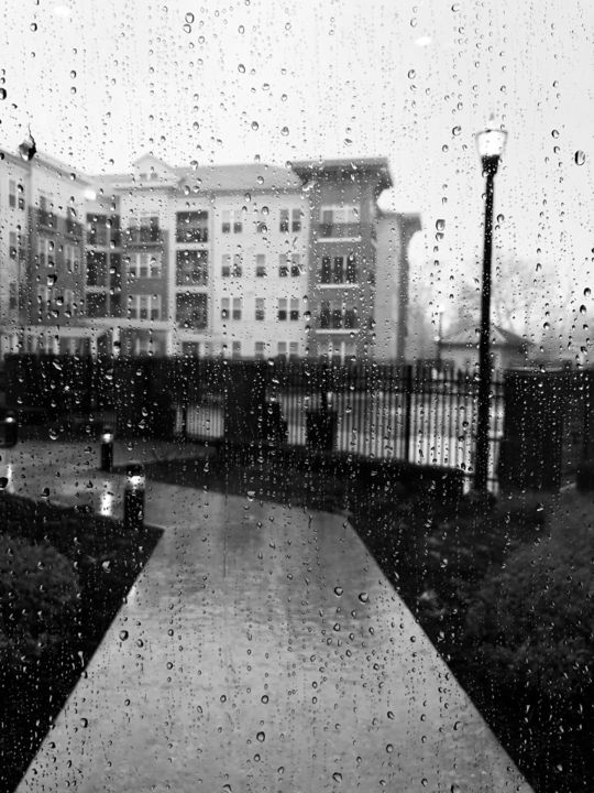 Photography titled "Early Morning Rain" by Llewellyn Berry, Original Artwork, Digital Photography