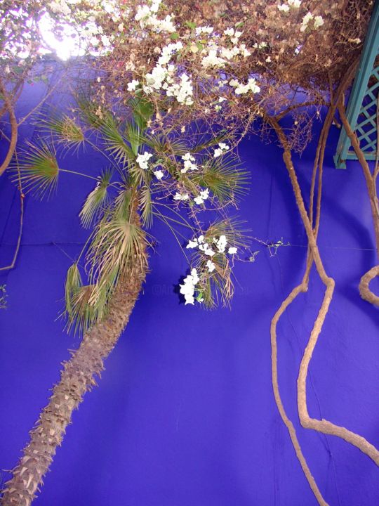 Photography titled "Le bleu Majorelle" by Christine Pons, Original Artwork