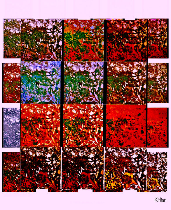 Arts numériques intitulée "Raméal Fragmenté" par Kirlian, Œuvre d'art originale, Photo montage