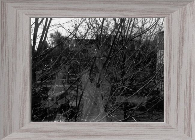 Photography titled "The Ghost Photograp…" by Kitty Walsh, Original Artwork