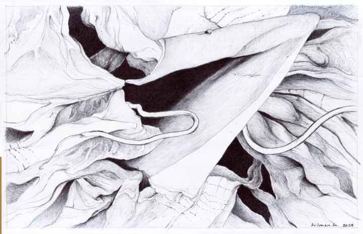 Disegno intitolato "Black to White #10" da Kkdzo, Opera d'arte originale, Biro