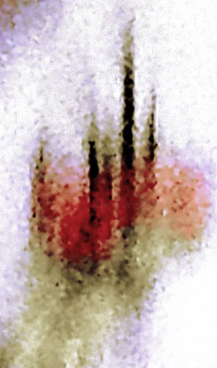 Photography titled "Ghost Forest 1g4" by Ken Lerner, Original Art, Digital Photography