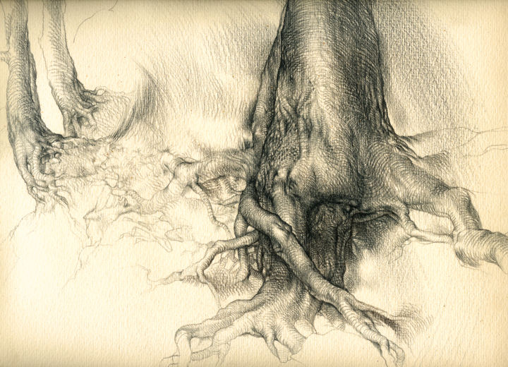 Рисунок под названием "корни" - Andey Mareev, Подлинное произведение искусства