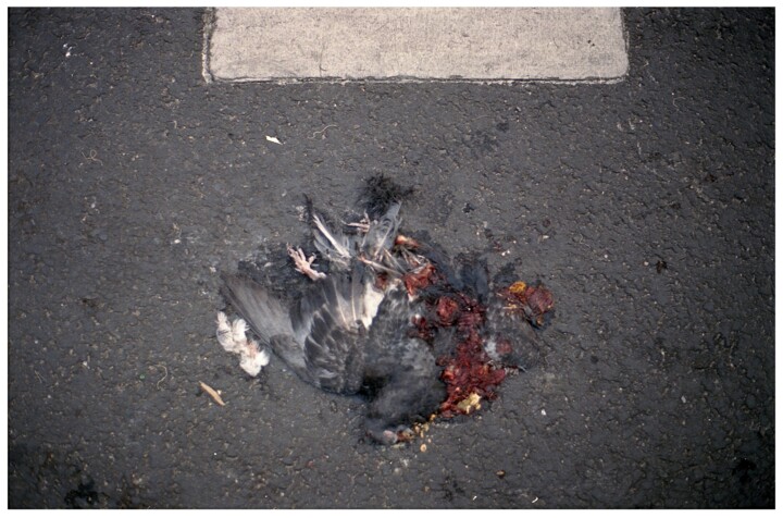 Photographie intitulée "Crash" par Kmar Douagi, Œuvre d'art originale, Photographie argentique