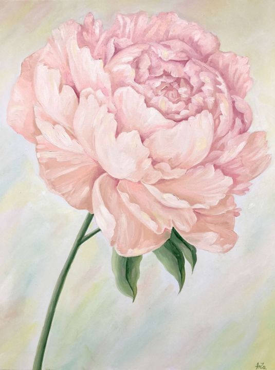 Painting titled "Pink Peony" by Anzo, Original Artwork, Oil Mounted on Wood Stretcher frame