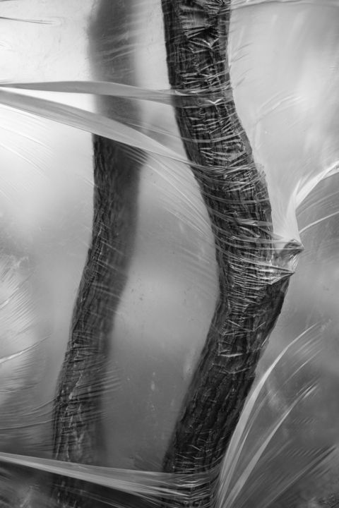 제목이 "Wind"인 사진 Dmitriy Kochergin로, 원작, 디지털