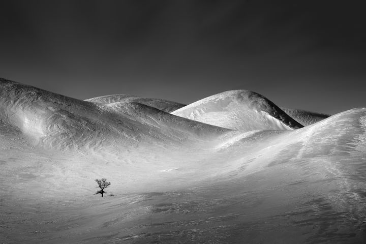 Photographie intitulée "Frozen Dunes #2" par Dmitriy Kochergin, Œuvre d'art originale, Photographie numérique