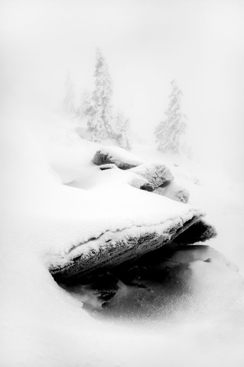 Fotografie getiteld "Winter Sketch #2" door Dmitriy Kochergin, Origineel Kunstwerk, Digitale fotografie