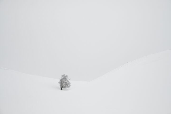 Фотография под названием "Frozen Dunes #3" - Dmitriy Kochergin, Подлинное произведение искусства, Цифровая фотография