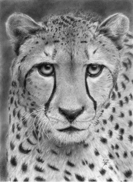 Dessin intitulée "122-hypnotic-cheeta…" par Kofkof, Œuvre d'art originale