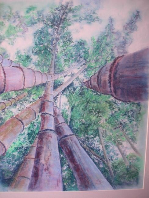 Σχέδιο με τίτλο "vertigineux bambous" από Koki, Αυθεντικά έργα τέχνης
