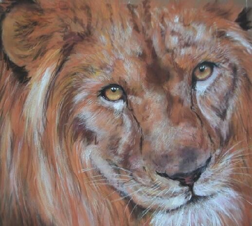 Drawing titled "Lion" by Koki, Original Artwork, Other