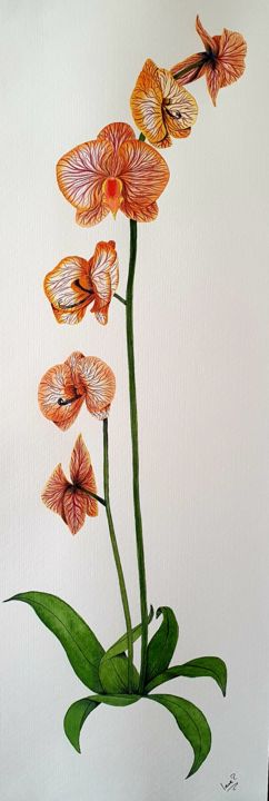Pintura titulada "orquídea naranja" por Irene Pestana Eliche, Obra de arte original, Acuarela