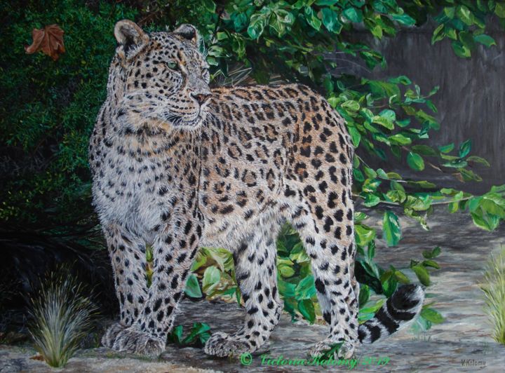 Painting titled "Amur Leopard" by Viktoriya Kolomiychuk, Original Artwork, Oil