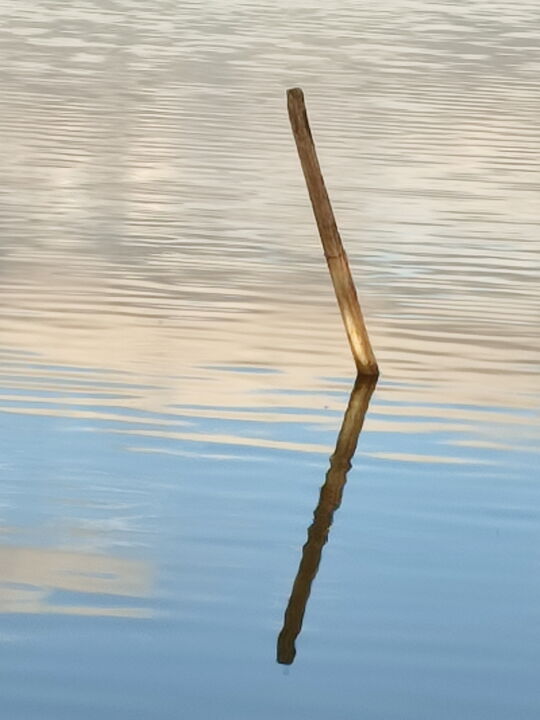 Photographie intitulée "Reflet dans l'eau.…" par Kook, Œuvre d'art originale, Photographie numérique