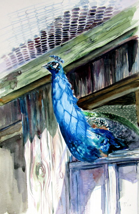 Painting titled "Peacock" by Anna Brigitta Kovacs (KAB), Original Artwork, Watercolor