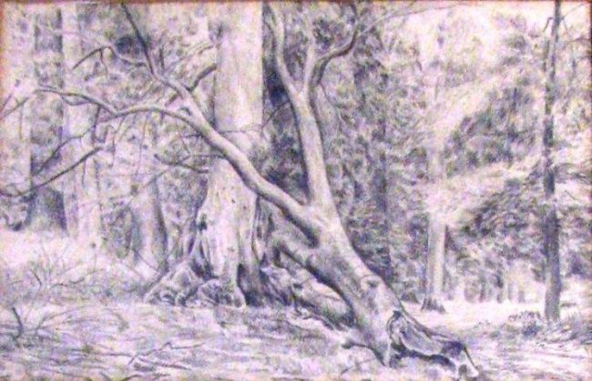 Peinture intitulée "Beech Tree Wood" par Simo Georgiev, Œuvre d'art originale
