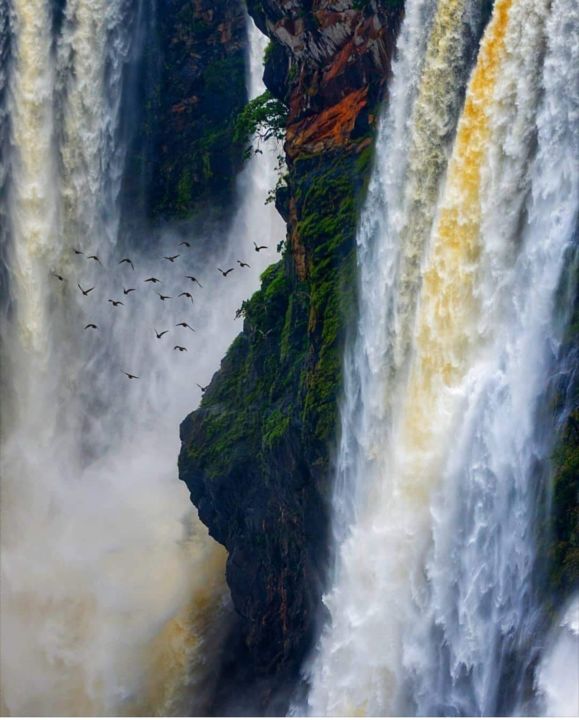 Photography titled "Amazing fall" by Krishna Art Gallery, Original Art, Analog photography