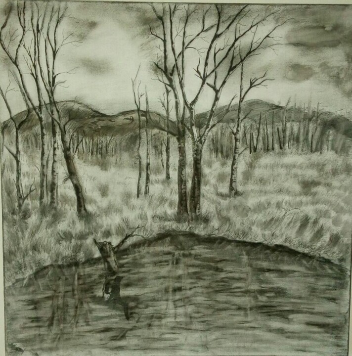 Dessin intitulée "Winter Landscape" par Krista Jaarsma, Œuvre d'art originale, Crayon