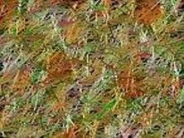 Digitale Kunst mit dem Titel "Grass and straw" von Kristina Maskarin, Original-Kunstwerk