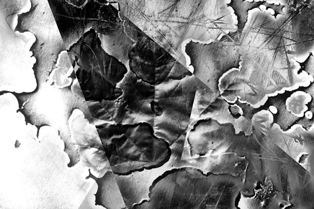 Фотография под названием "Leaf III." - Krystof Suchy, Подлинное произведение искусства