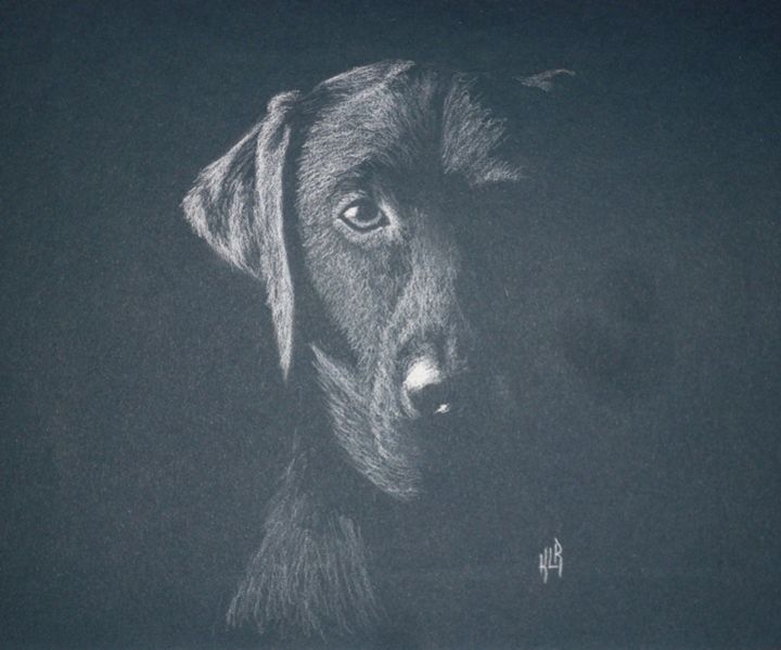 Drawing titled "Chien" by Krystyna Le Rudulier, Original Artwork