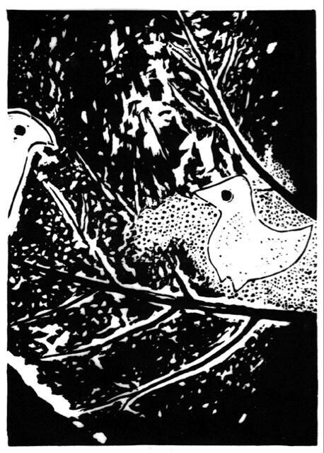 Prenten & gravures getiteld "Ptaki I" door Krzysztof Figielski, Origineel Kunstwerk