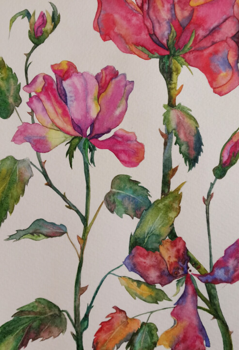 Картина под названием "roses" - Ксения Тарасова, Подлинное произведение искусства, Акварель