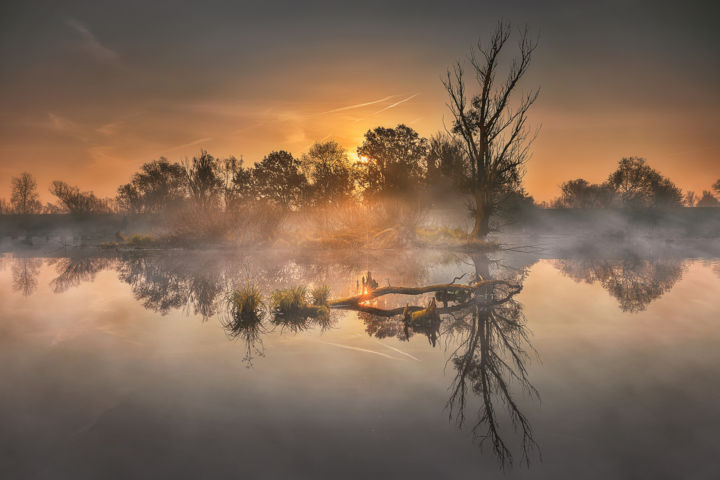 Фотография под названием "Autumn morning in l…" - Martin Kucera, Подлинное произведение искусства, Цифровая фотография