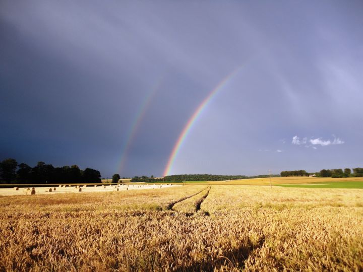 Photography titled "Paysage de Normandie" by Sergey Kuimov, Original Artwork