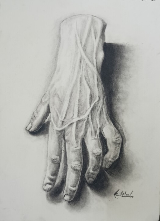 Disegno intitolato "The Hand" da Kunal Nandi, Opera d'arte originale, Carbone