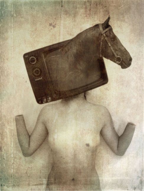 Фотография под названием "TV Adixion" - Kunstlerdgenocide, Подлинное произведение искусства