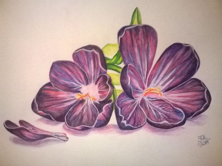 Purple Flowers Drawing By Kutedymples Artmajeur