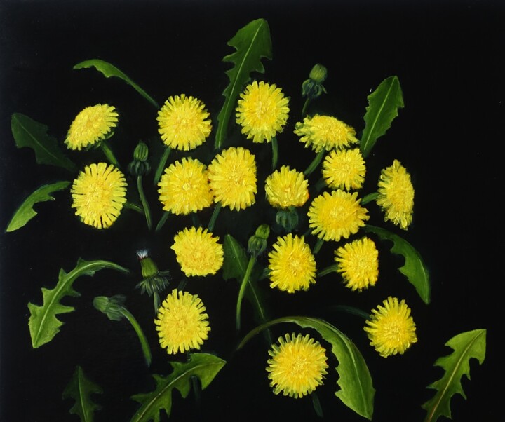Peinture intitulée "Dandelions" par Kvantaliani, Œuvre d'art originale, Huile
