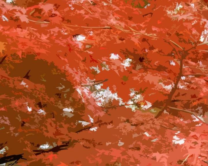 Digital Arts titled "Brilliant Momiji" by Kyle Yates, Original Art,