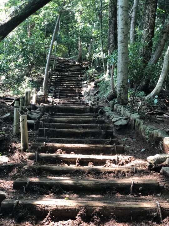 Photography titled "Mont Takao Japon 高尾山" by Laurence Linsenmaier, Original Artwork, Non Manipulated Photography