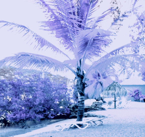 Fotografia intitolato "Violet beach" da L.Kissner, Opera d'arte originale, Fotografia digitale