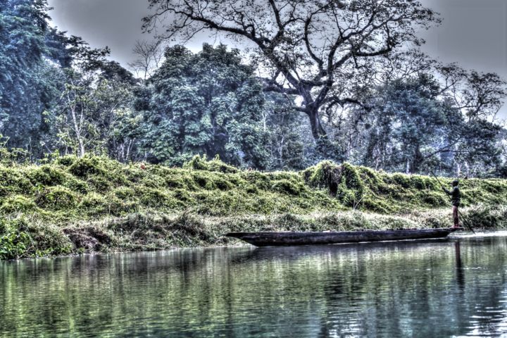 Fotografia intitulada "jungle" por Laseptieme Couleur, Obras de arte originais