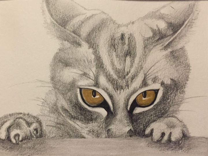 Drawing titled "Chat a l'affût" by Pascale Ladoux, Original Artwork, Pencil