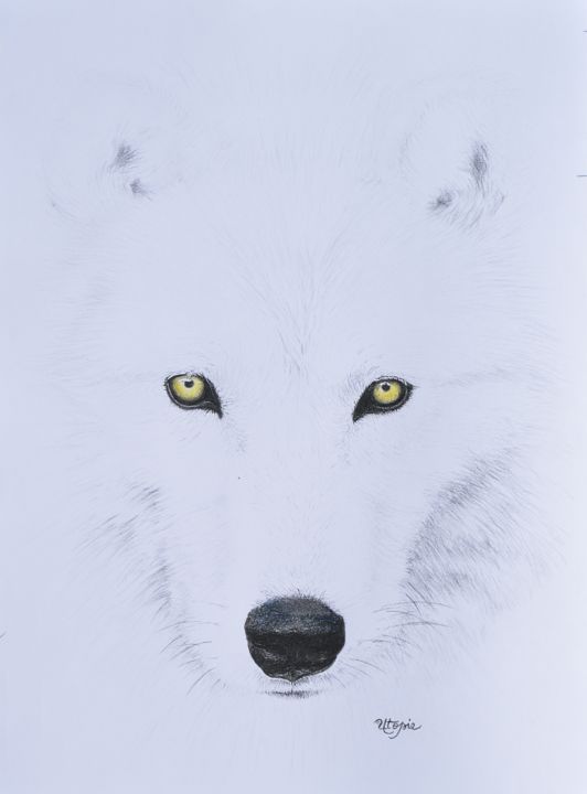 Drawing titled "Loup Blanc" by Laetitia Debienne, Original Artwork, Pastel Mounted on Wood Stretcher frame
