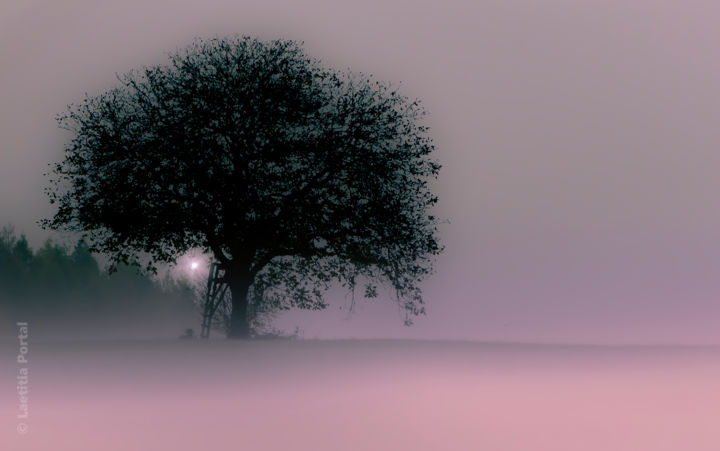 Photographie intitulée "l'échelle" par Laetitia Portal, Œuvre d'art originale, Photographie numérique