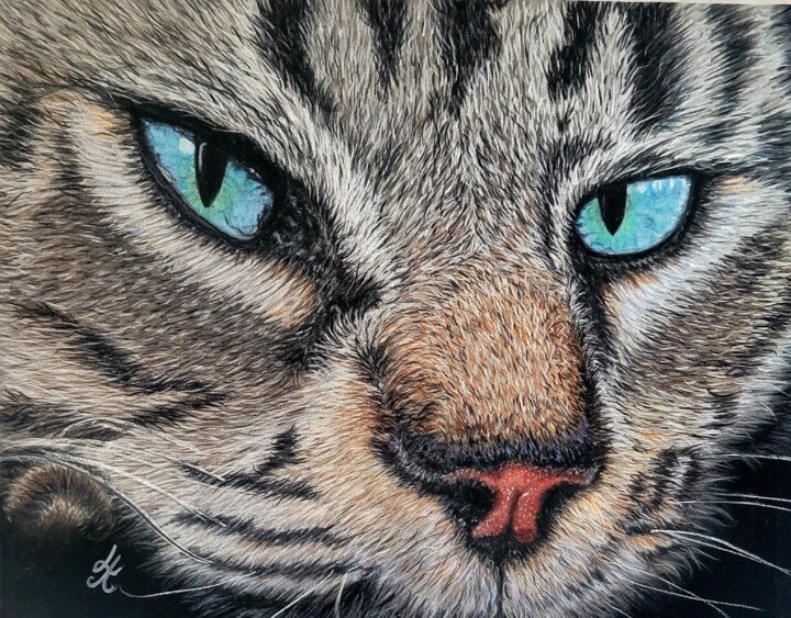 Drawing titled "GREY CAT" by Lalyart, Original Artwork, Pastel