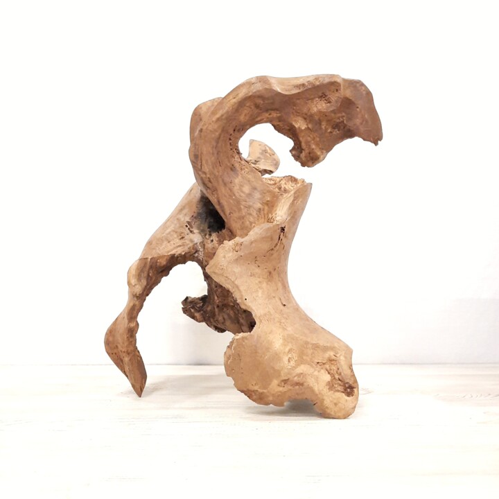 "Biomorphic sculptur…" başlıklı Heykel Lara Shabelnik tarafından, Orijinal sanat, Ahşap