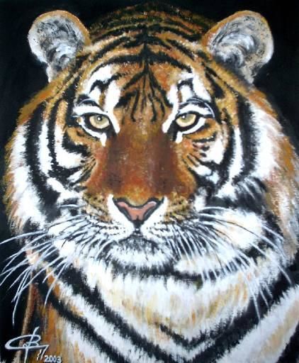 Painting titled "tigre" by Christelle Lardier, Original Artwork, Oil